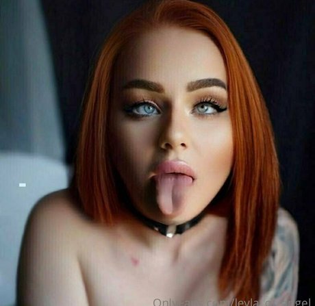 leyla of angel pornographic actress photos