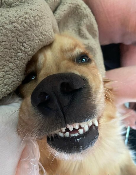 kayyybearfree pornstar nudes img