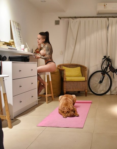 Lapecosafitness hd star archive