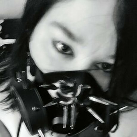 xaccalia exclusive star img