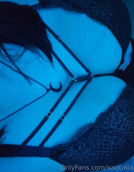 xaccalia model picture