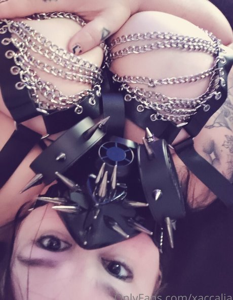 xaccalia model nice pic