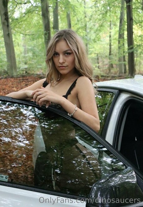 dinosaucers model adult photo