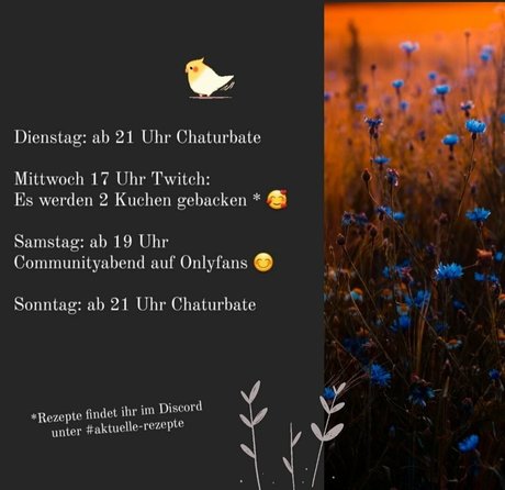 lisamaus star pornographic photos