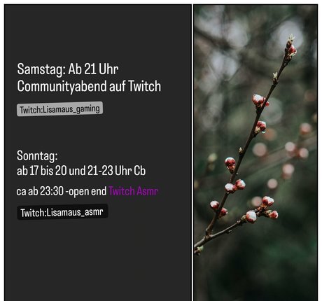 lisamaus erotic pornstar gallery