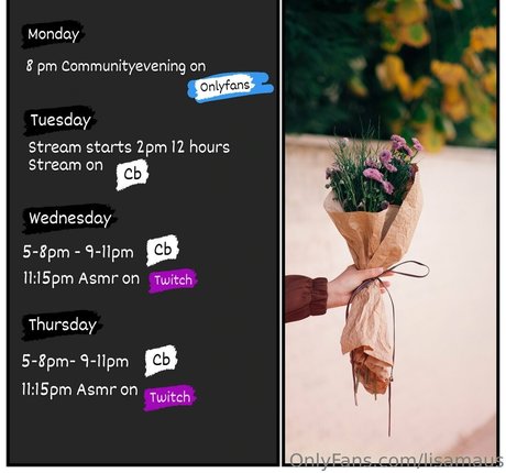 lisamaus pornstar pretty photo