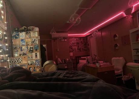 sofia gains beautiful star archive