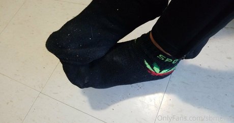 sbmeros free pornstar pics