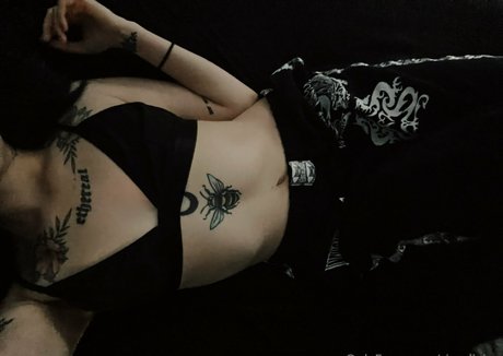 rinsdivine sexy star galleries