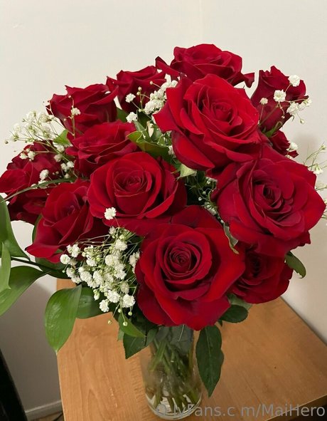 maihero high quality star pics