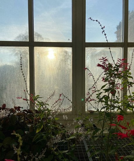 Mydirtyhobby beautiful star pictures