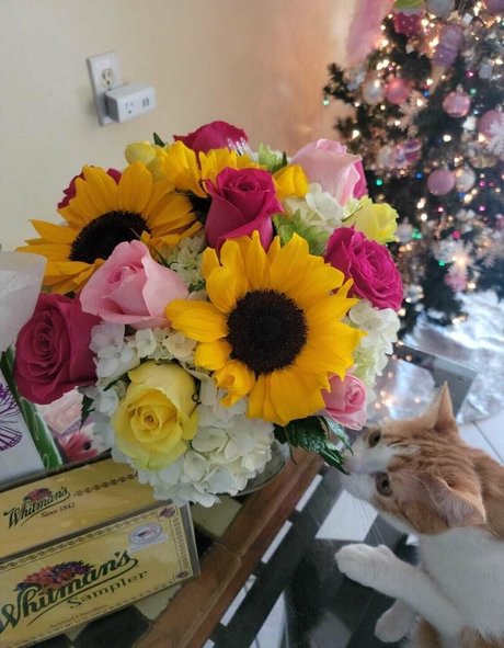 daddy gay onlyfans beautiful nude picture