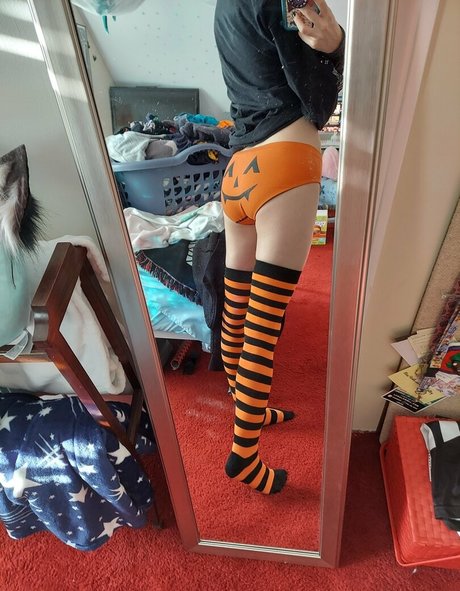 the waaa model porn galleries