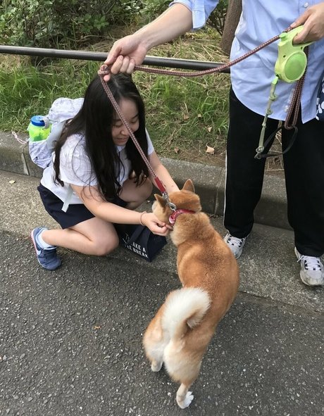 strawberry soju princess top model img