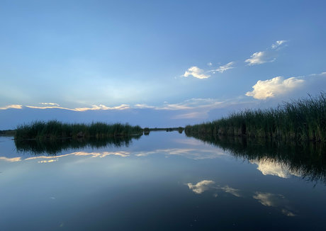 toxicannabella pretty model archive