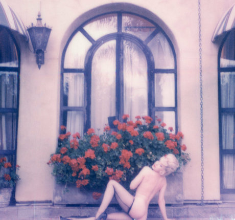 officiallymosh best star image