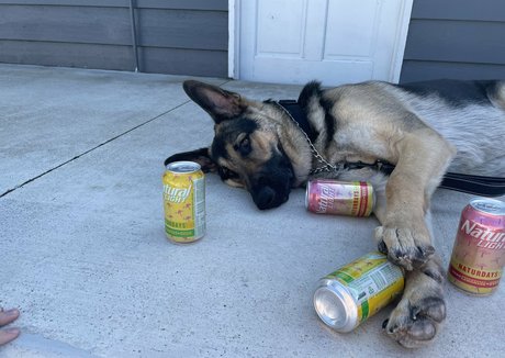 blonde kitty onlyfans nude gallery