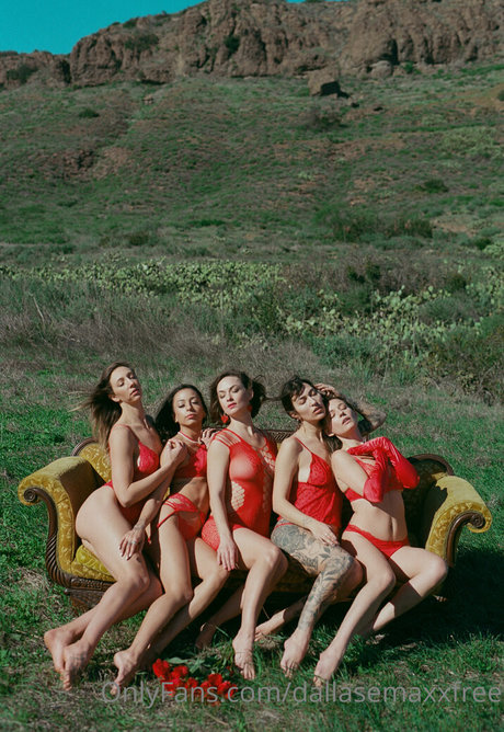 dallasemaxxfree xxx star pictures