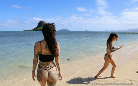 dallasemaxxfree adult model images