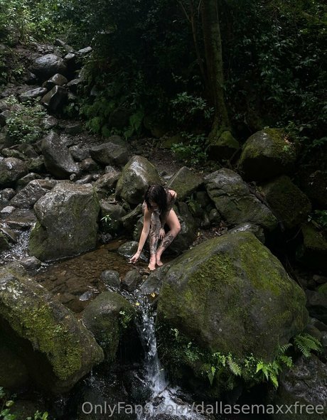 dallasemaxxfree top pornstar image