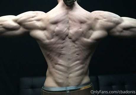 cbadonis model exclusive gallery