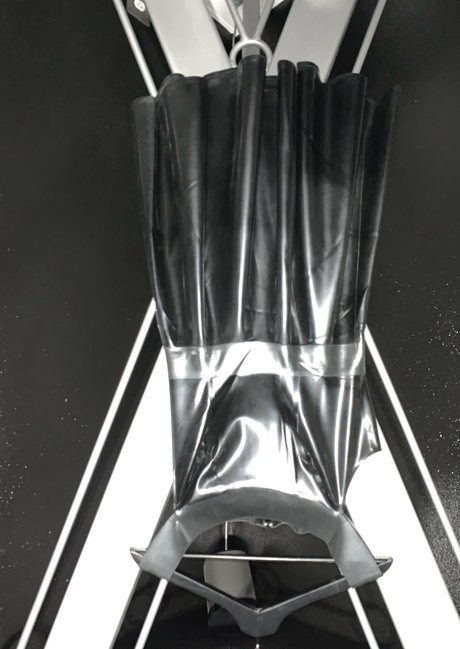 victoriarage best star photo