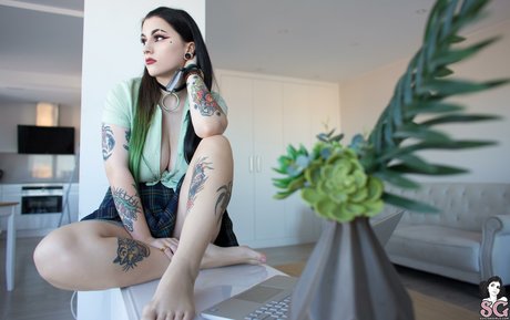 Douji art pornstar photos