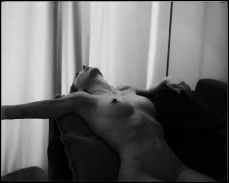 natural pawg onlyfans art xxx archive