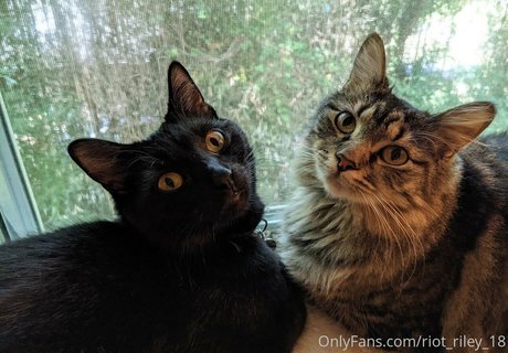 foxygamergurl exclusive star pic