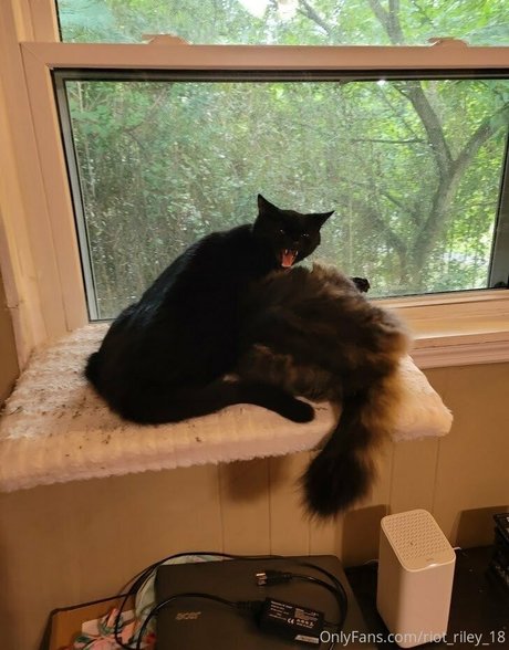 foxygamergurl model adult picture