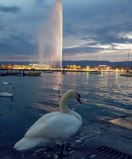 Andreea Ungur art pornstar images