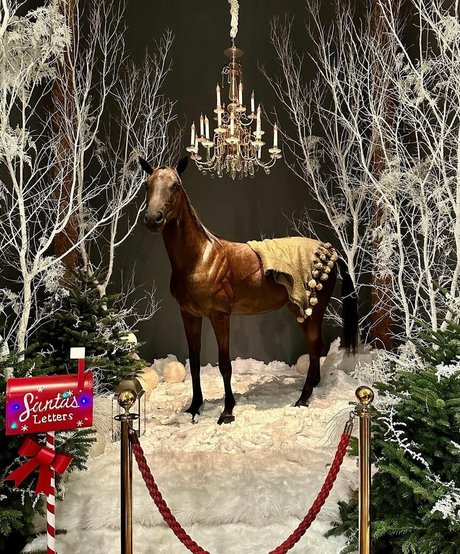 Andreea Ungur Quick model image