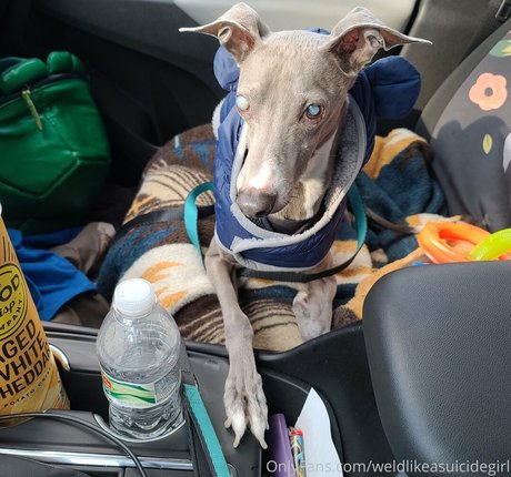 weldlikeababe Quick model image