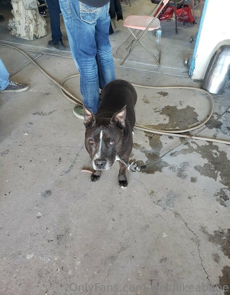 goth asian onlyfans best img