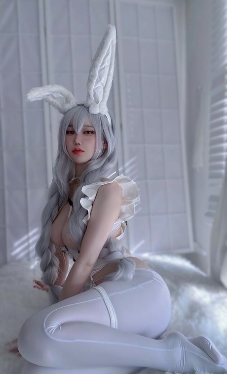 imeva Quick model image