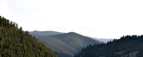 sexyredinbedfree model image