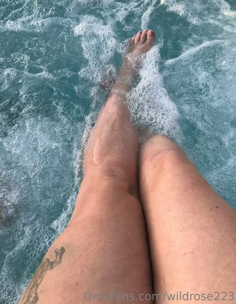 wildrose223 pornographic actress picture