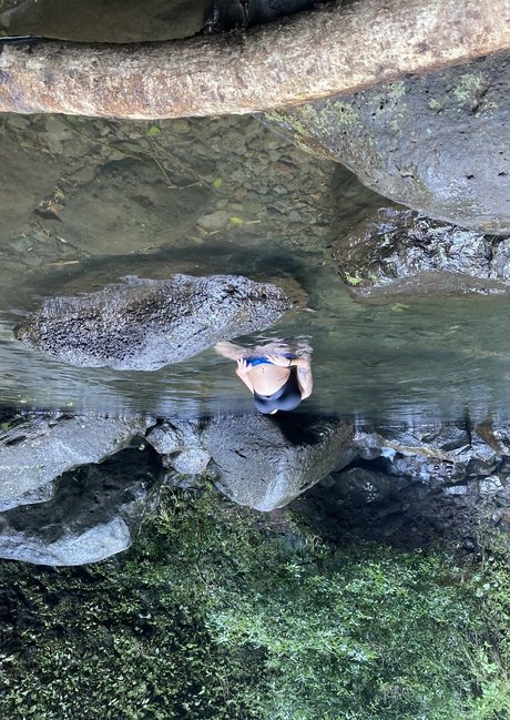 thecurvyqueen01 art actress images