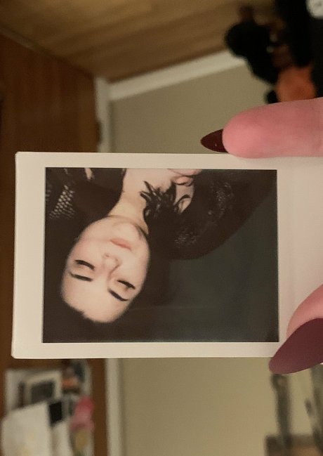 maisonfoxqueen erotic pornstar pics