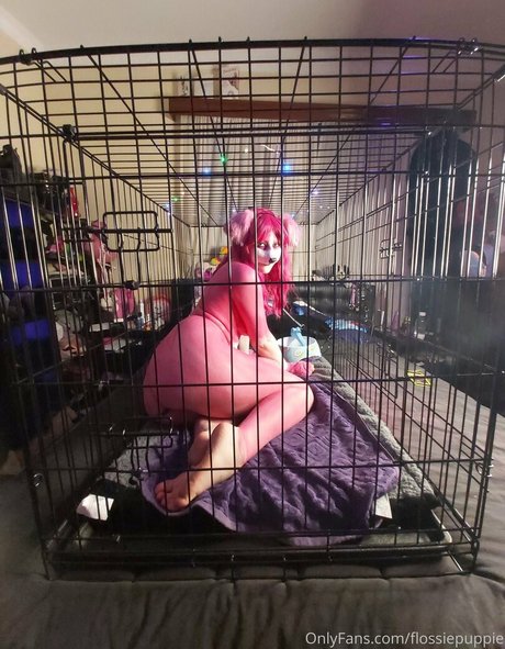 flossiepuppie exclusive star gallery