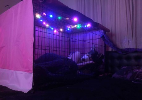 blonde masturbation onlyfans porno pic