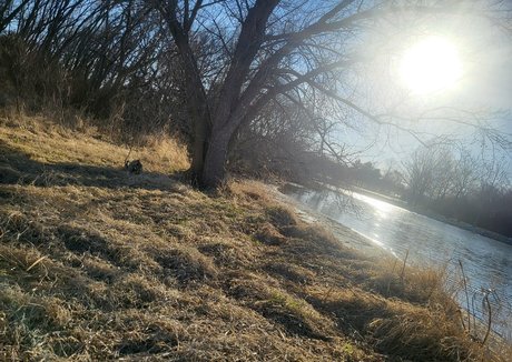 natural pawg onlyfans hot sex pic