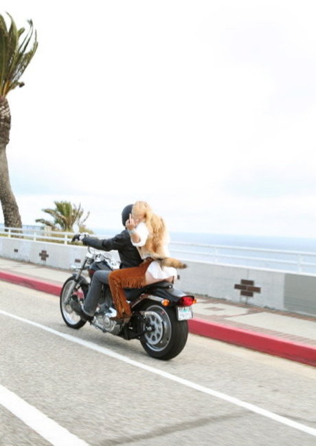 Scout Willis model pornographic images