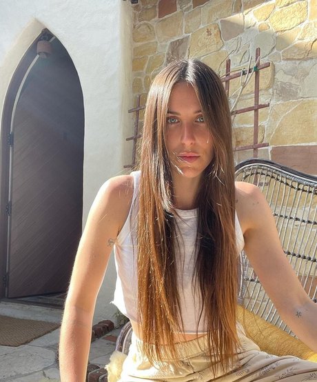 Scout Willis model free img