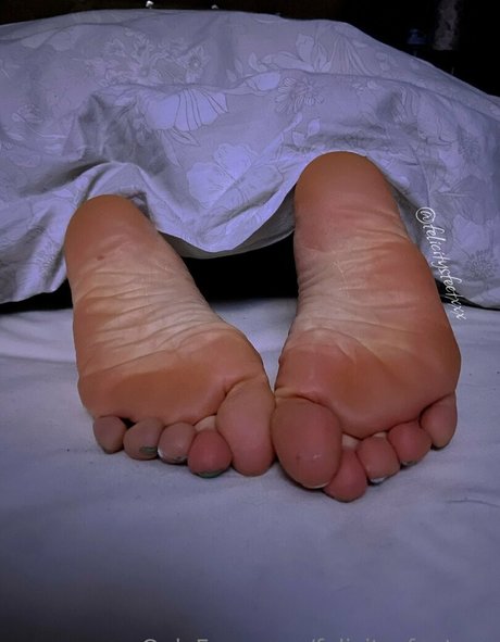 felicitysfeetxxx erotic star archive