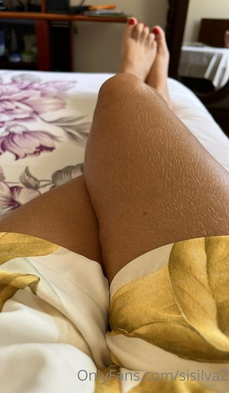 sisilva2 art model galleries