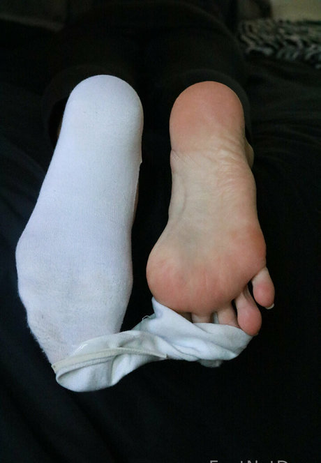 fxxtnxtdoor pornographic star archive