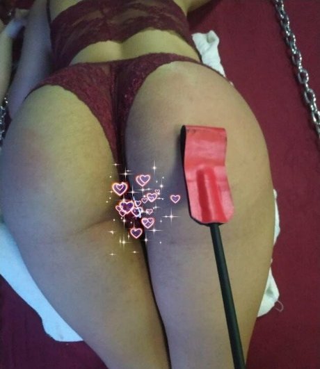 Gatas De Santa Maria Rs best star image