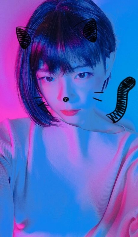 cdwant2 Quick model image