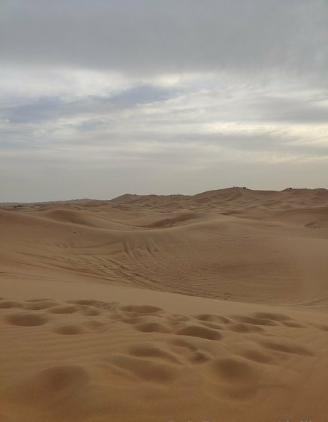 dejiko model hot photos